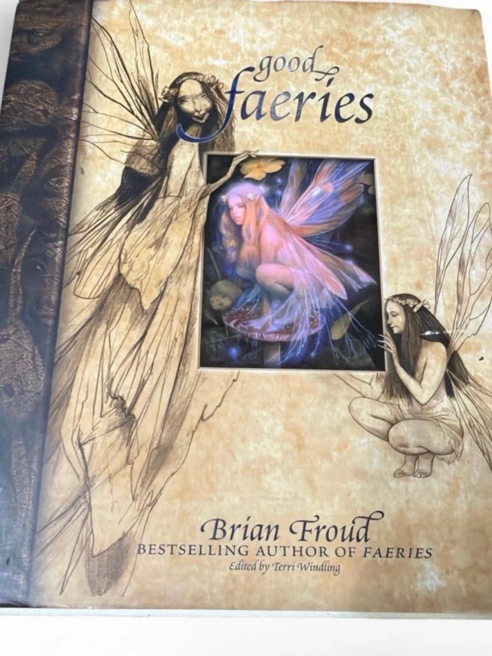 Brian Froud Good Faeries Bad Faeries 1998 Art Book